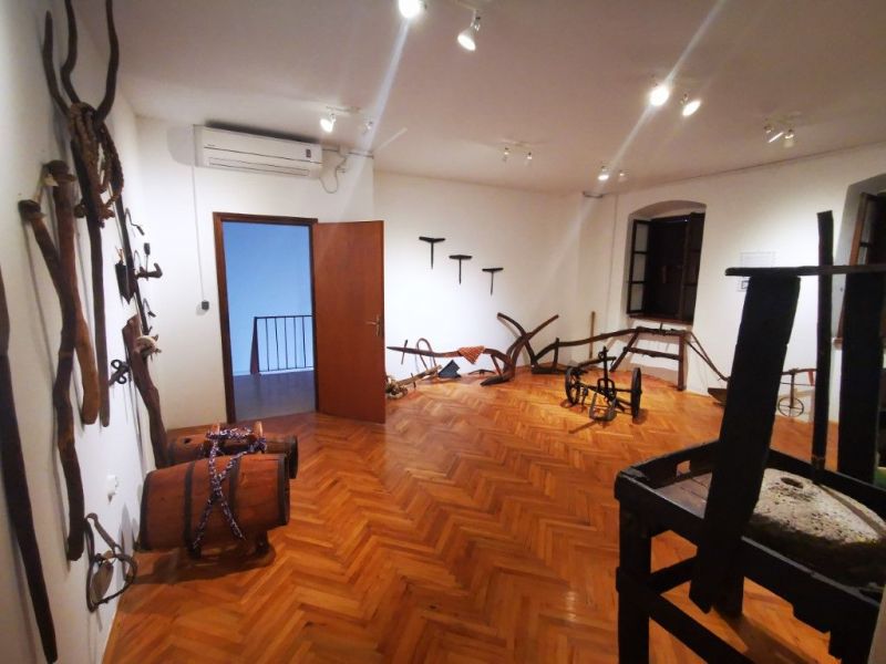 IMG20201018131053-Medium